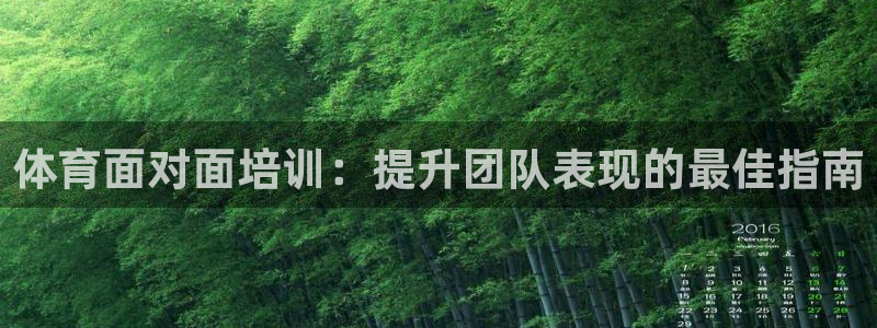 焦点娱乐星白鹿罗云熙在线磕cp：体育面对面培训：提升团队表现