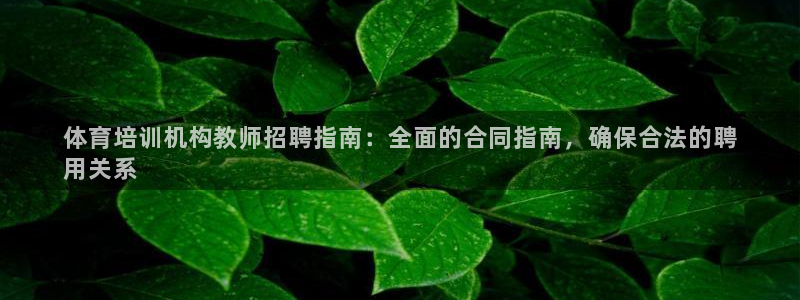 焦点娱乐游戏攻略：体育培训机构教师招聘指南：全面的合