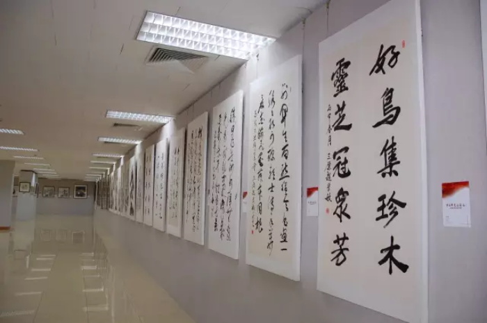 焦点平台官方网站图片