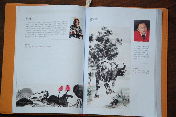 焦点平台官方网站图片